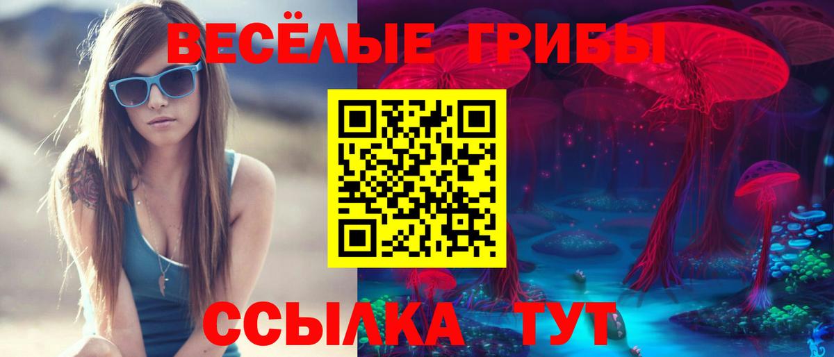 Галлюциногенные грибы Psilocybe  Псилоцибиновые грибы Psilocybe  Вход с VPN  Зеленокумск 